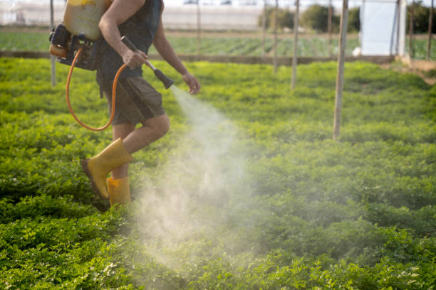 Best Pest Removal Services  in Croom, MD