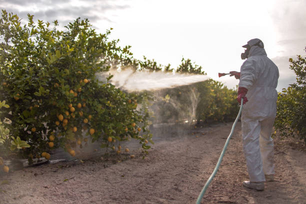 Best Affordable Pest Control Services  in Croom, MD
