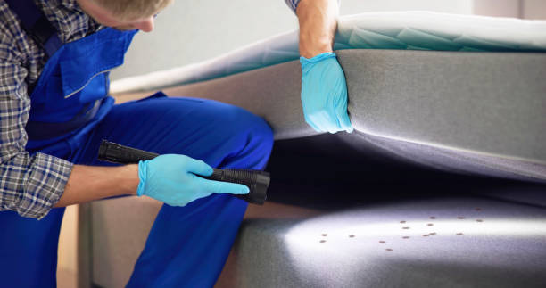 Best Flea Control Services  in Croom, MD