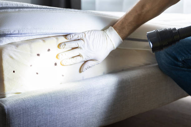Best Cockroach Control Services  in Croom, MD